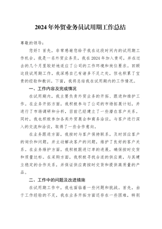 2024年外贸业务员试用期工作总结范文