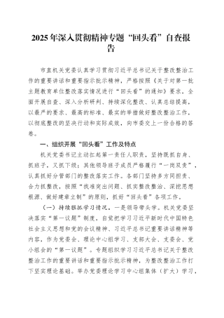 2025年深入贯彻精神专题“回头看”自查报告