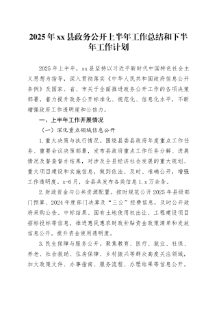 2025年县政务公开上半年工作总结和下半年工作计划