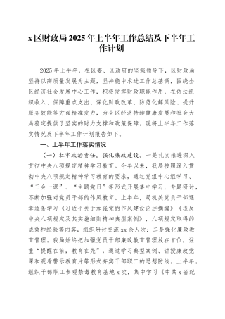 X区财政局2025年上半年工作总结及下半年工作计划