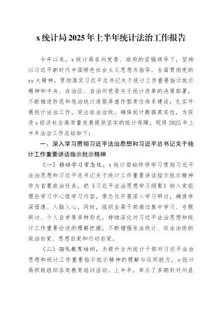X统计局2025年上半年统计法治工作报告