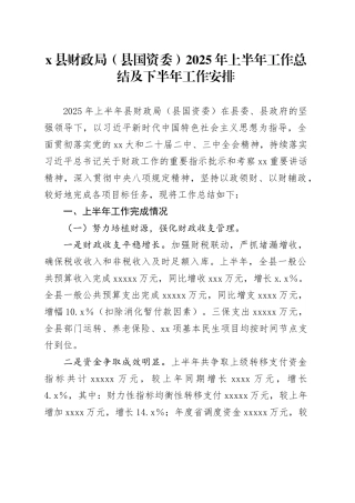 X县财政局（县国资委）2025年上半年工作总结及下半年工作安排
