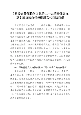 常委宣传部长学习党的二十大精神体会文章：肩负使命任务，推进文化自信自强