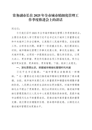 常务副市长在2025年全市城市精细化管理工作季度推进会上的讲话