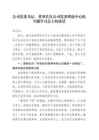 公司党委书记、董事长在公司党委理论中心组专题学习会上的讲话