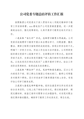 公司党委专题总结评估工作汇报