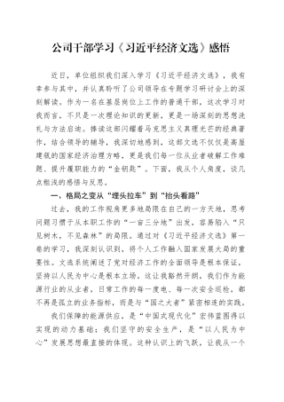 公司干部学习《习近平经济文选》感悟