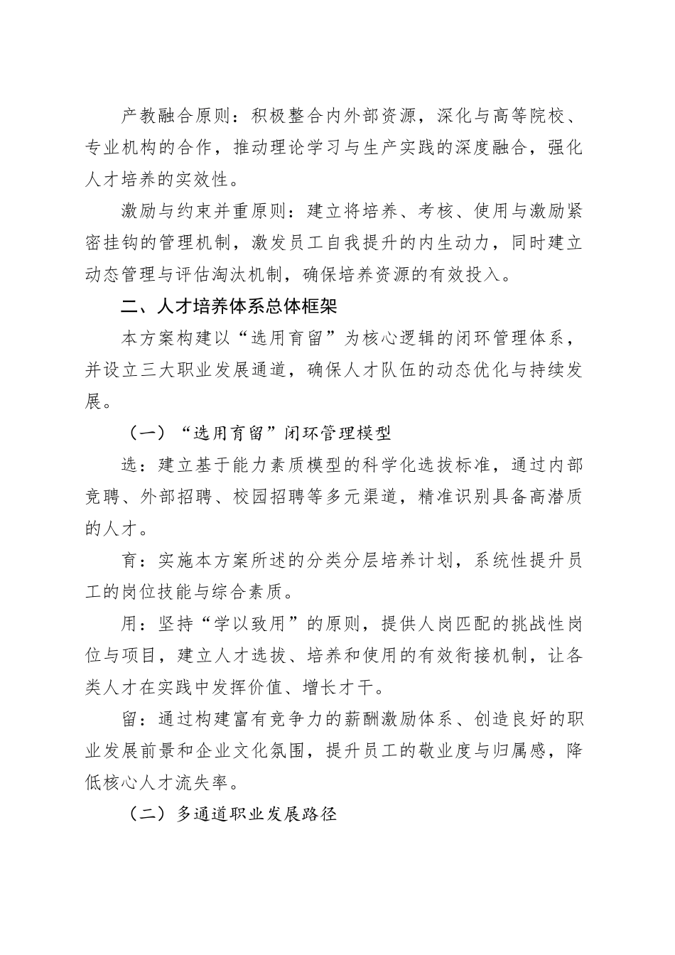 公司人才培养体系建设方案_第2页