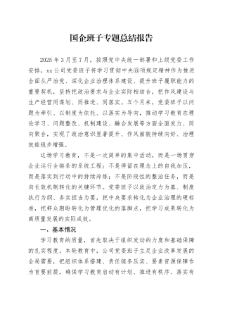 国企班子专题总结报告