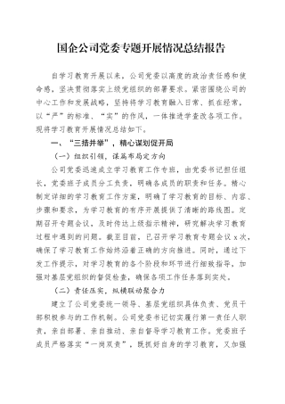 国企公司党委专题开展情况总结报告