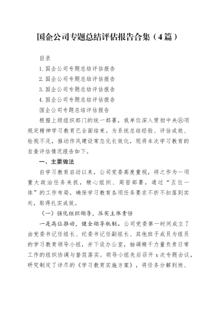 国企公司专题总结评估报告合集（4篇）