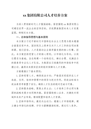 集团有限公司人才培养方案