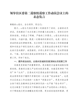领导在区委第二巡察组巡察工作动员会议上的表态发言