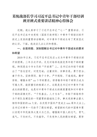 某统战部长学习习近平总书记中青年干部培训班开班式重要讲话精神心得体会