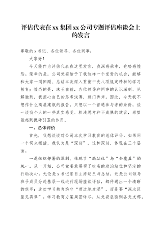 评估代表在集团公司专题评估座谈会上的发言