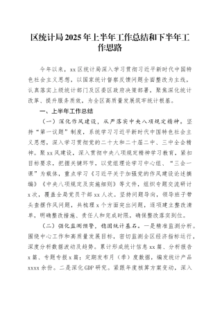 区统计局2025年上半年工作总结和下半年工作思路