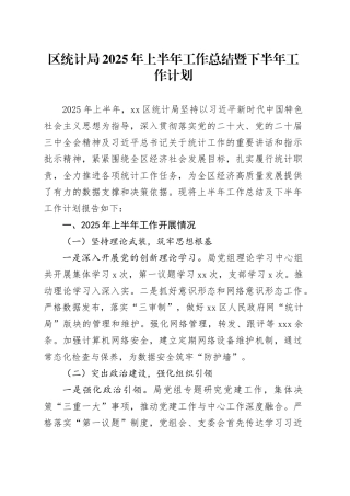 区统计局2025年上半年工作总结暨下半年工作计划