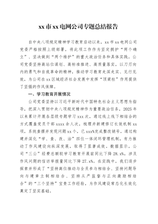 市XX电网公司专题总结报告