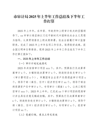 市审计局2025年上半年工作总结及下半年工作打算