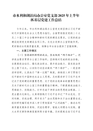 市水利和湖泊局办公室党支部2025年上半年抓基层党建工作总结