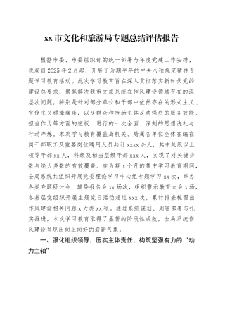 市文化和旅游局专题总结评估报告