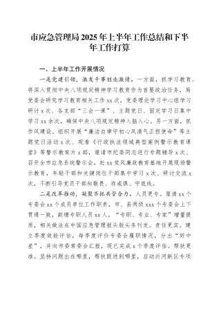 市应急管理局2025年上半年工作总结和下半年工作打算