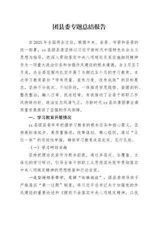 团县委专题总结报告