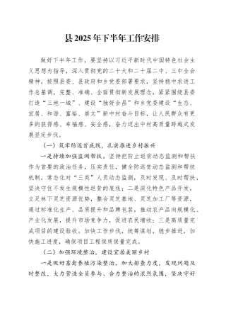 县2025年下半年工作安排