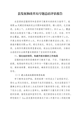 县发展和改革局专题总结评估报告
