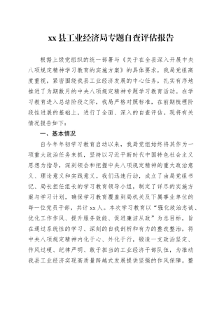县工业经济局专题自查评估报告
