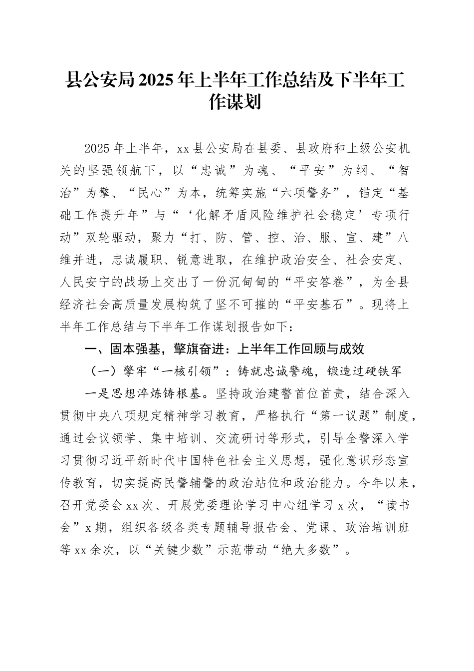 县公安局2025年上半年工作总结及下半年工作谋划_第1页