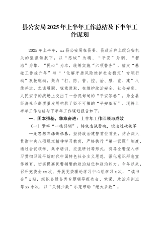 县公安局2025年上半年工作总结及下半年工作谋划