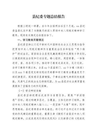 县纪委专题总结报告