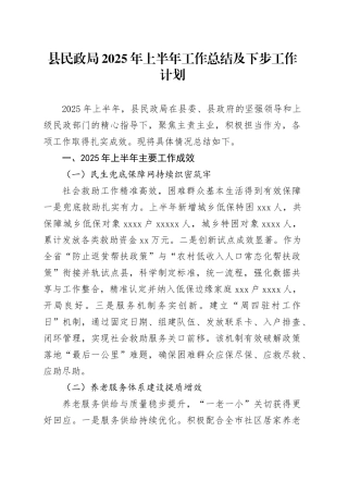 县民政局2025年上半年工作总结及下步工作计划