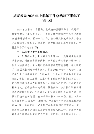 县商务局2025年上半年工作总结及下半年工作计划