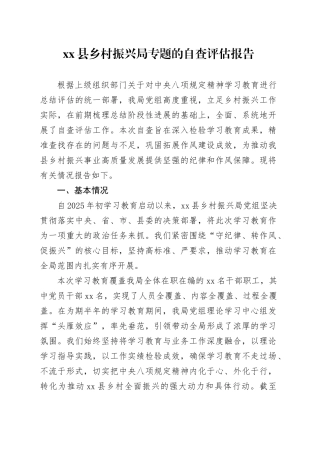 县乡村振兴局专题的自查评估报告