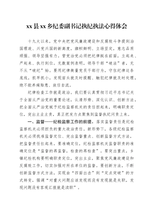 县乡纪委副书记执纪执法心得体会