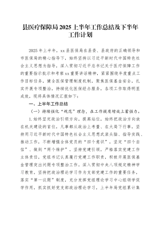 县医疗保障局2025上半年工作总结及下半年工作计划
