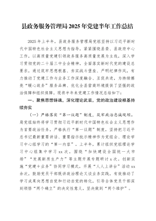 县政务服务管理局2025年党建半年工作总结