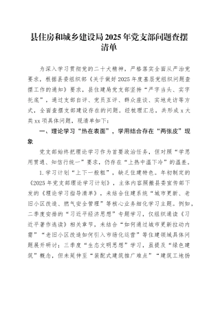 县住房和城乡建设局2025年党支部问题查摆清单