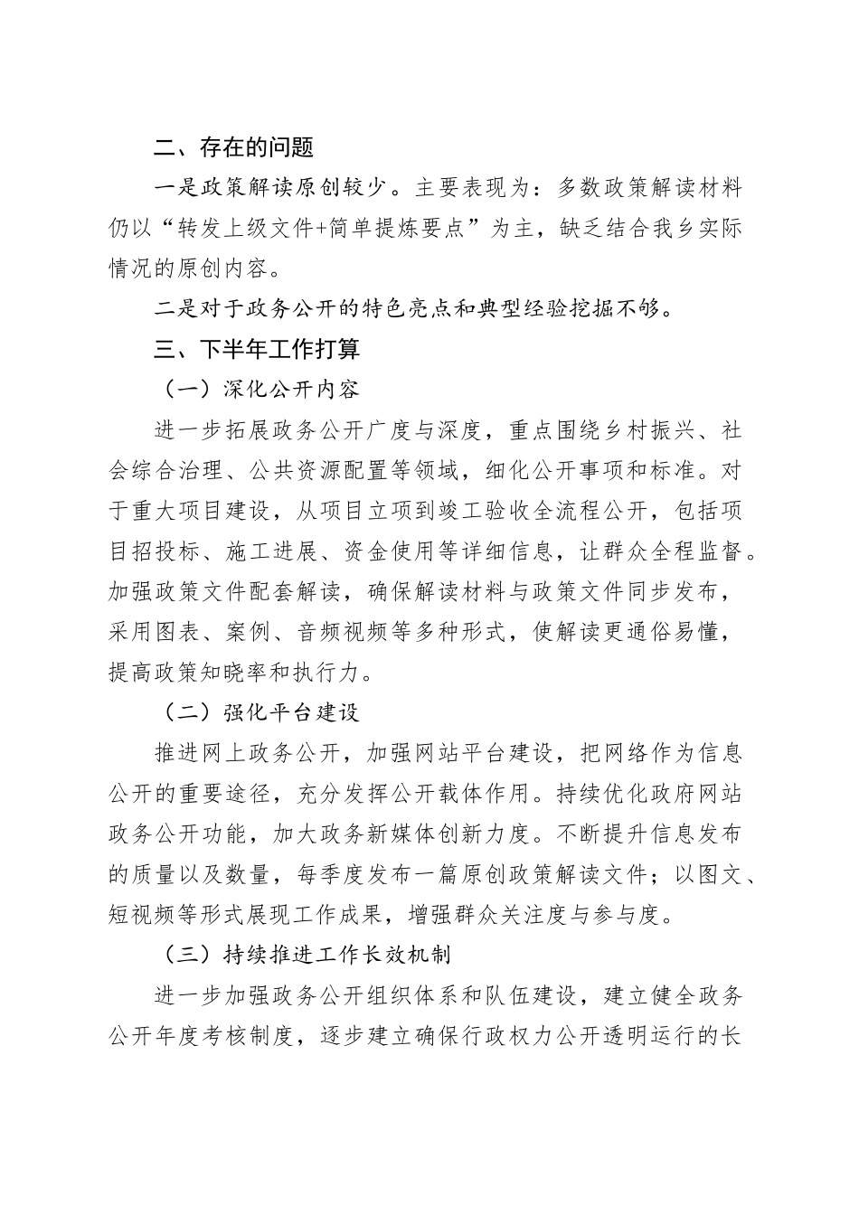 乡2025年政务公开上半年工作总结和下半年工作打算_第2页
