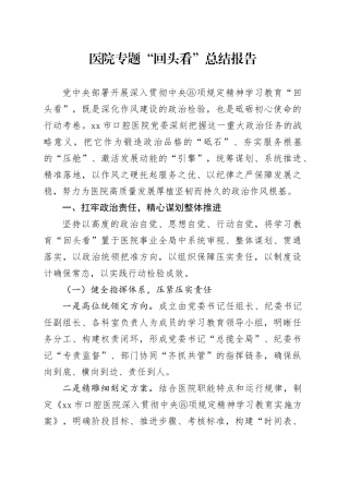 医院专题“回头看”总结报告
