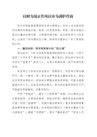 以财为镜正作风以审为剑护营商