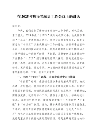 在2025年度全镇统计工作会议上的讲话