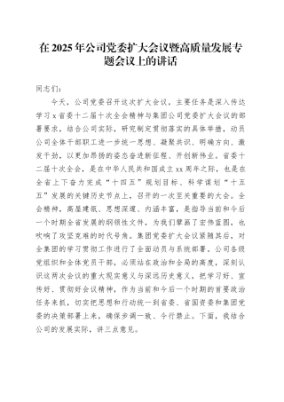 在2025年公司党委扩大会议暨高质量发展专题会议上的讲话