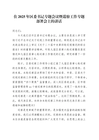 在2025年区委书记专题会议暨巡察工作专题部署会上的讲话