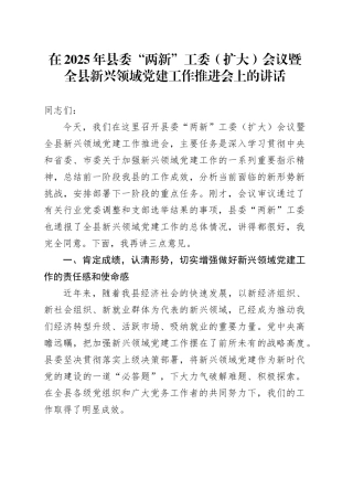 在2025年县委“两新”工委（扩大）会议暨全县新兴领域党建工作推进会上的讲话