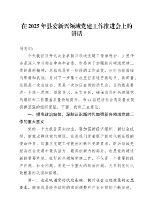 在2025年县委新兴领域党建工作推进会上的讲话