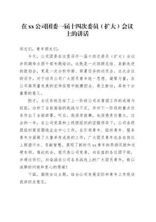 在公司团委一届十四次委员（扩大）会议上的讲话
