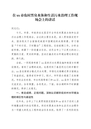 在市农村黑臭水体和生活污水治理工作现场会上的讲话